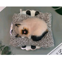 ราคา ตุ๊กตาดับกลิ่น ตุ๊กตาดูดกลิ่น ตุ๊กตาหมาดับกลิ่น ตุ๊กตาแมวดับกลิ่น ตุ๊กตาดูดกลิ่นในรถ ตุ๊กตาแมว ตุ๊กตาหมา ตุ๊กตาน้องหมา มีเสียง (16955971113)