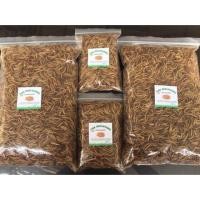ราคา อาหารเสริมสัตว์เล็ก หนอนนกอบแห้ง Dried Mealworms คัดอย่างดี ไม่ปรุ่งแต่งสีและกลิ่น Pet ชูการ์หนูแฮมเตอร์เม่นแคระนก (13068147601)