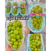 ราคา องุ่นไซมัสคัส 1ช่อ 8001200กรัม อร่อย หวานฉ่ำ Shine Muscat (22686920001)