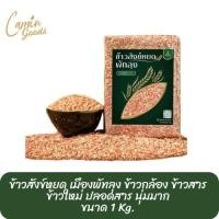 ราคา ข้าว ข้าวสังข์หยด ข้าวสังข์หยดพัทลุง ข้าวกล้อง ข้าวสาร ข้าวใหม่ ปลอดสาร นุ่มมาก ขนาด 1 Kg ราคาต่อ1ถุง Camin Goods (22141198552)