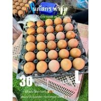 ราคา ไข่ไก่โคตรใหญ่ ไซส์L 30ฟอง สดใหม่จากฟาร์ม (22690596661)