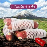 ราคา มันหวานญี่ปุ่นแท้ สายพันธุ์ Beni haruka เนื้อเหลือง หอมหวาน อร่อย 1 กก สินค้าเคลมได้ (22719811262)