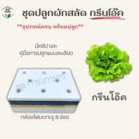 ราคา ชุดปลูกผักไฮโดรโปนิกส์พร้อมปลูก ผักสลัด ผักไทย (20666826755)