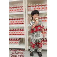 ราคา เสื้อช้างเด็ก ชุดช้างเด็ก ชุดเซ็ทเด็กลายช้าง เสื้อคอกลมเด็กลายช้าง กางเกงขายาวเด็กลายช้าง สไตล์มินิมอล ผ้าเย็นนิ่มใส่สบาย เหมาะกับหน้าร้อนมาก ผลิตจากผ้าเรยอน100 ผลิตในประเทศไทย (22087808116)