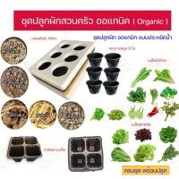 ราคา ชุดปลูกผักสวนครัวออแกนิค ผักออแกนิค ชุดปลูกผักแบบพร้อมปลูก เมล็ดผัก ผักสวนครัว (21895774011)
