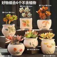 ราคา พืชกระถางเซรามิกขนาดใหญ่ลดราคา กระถางดอกไม้ขนาดเล็กสร้างสรรค์ เหมาะสําหรับเดสก์ท็อปและพื้นที่พื้นดิน (21586048743)