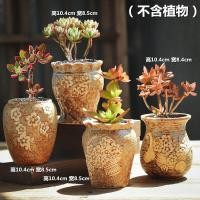ราคา พืชกระถางเซรามิกขนาดใหญ่ลดราคา กระถางดอกไม้ขนาดเล็กสร้างสรรค์ เหมาะสําหรับเดสก์ท็อปและพื้นที่พื้นดิน (21586048726)