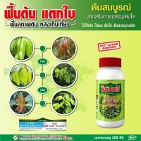 ราคา ฟื้นต้น ปุ๋ย ยา เร่งแตกใบ แตกกิ่ง แตกยอด ปุ๋ยน้ำทางใบ ปุ๋ยน้ำบำรุงต้น ฟื้นฟูสภาพต้นหลังเก็บเกี่ยว ฮอร์โมนพืช อาหารเสริมสำหรับพืช ขนาด 250 ซีซี (16321800674)