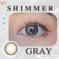 ราคา คอนแทคเลนส์ Shimmer Gray ยี่ห้อ Beautylens ค่าสายตาปกติ 1000 (16999105338)