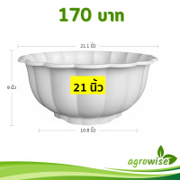 ราคา กระถาง อ่างเลี้ยงปลา อ่างบัว อ่างบัวจีบ 20 21 นิ้ว สีน้ำตาล สีโอ๊ค (22699185444)