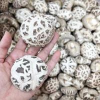 ราคา เห็ดหอมญี่ปุ่นอย่างดี ขนาด AAAAA6香菇เห็ด (21414032398)