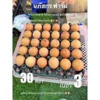 ราคา ไข่ไก่อารมย์ดี เบอร์3 30ฟอง เก็บจากฟาร์ม สดใหม่ (22651955557)