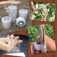 ราคา เทปพันกิ่งไม้ 150 m เทปพันกิ่งทาบ แลปพลาสติก อุปกรณ์ตอนกิ่ง เทปพันกิ่งเสียบยอด ผ้าเทปพันกิ่ง (22603086031)