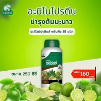 ราคา มะนาว โตไว ใบเขียว ผลใหญ่ แข็งแรง ผลผลิตดี อะมิโนโปรตีนจำเป็นสำหรับพืช 18 ชนิด อะมิโนแรปเตอร์ โดย ไดโนเร็กซ์ (18463366902)