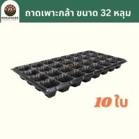 ราคา ถาดเพาะกล้า 32 หลุม แพ็ค 10ใบ หนา 0 8 มม ถาดเพาะชำ ถาดเพาะต้นกล้า ถาดเพาะต้นอ่อน ถาดเพาะเมล็ด ถาดเพาะ ถาดเพาะปลูกผัก เมล็ด เมล็ดพันธุ์ (19545343413)