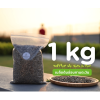 ราคา เมล็ดต้นอ่อนทานตะวัน ไร่จำรัส ถุงละ 1 kg เมล็ดพันธุ์ผัก เมล็ดเพาะงอก ต้นอ่อนทานตะวัน ไร่จำรัส กรีนฟาร์มสุข (21858480734)