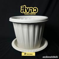 ราคา กระถางพลาสติก 12 นิ้วพร้อมจานรองพร้อมส่ง (13687889438)