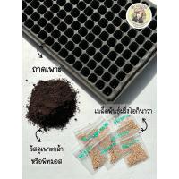 ราคา ชุดเพาะเมล็ดฝรั่งโอกินาวาทนโรคไส้เดือนฝอยมีถาดเพาะวัสดุเพาะกล้าไม้เมล็ดฝรั่ง1ชุด (22641148415)