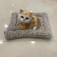 ราคา ตุ๊กตาแมวดับกลิ่น มีเสียงร้อง ตุ๊กตาดับกลิ่น ตุ๊กตาแมวดูดกลิ่น แมวดับกลิ่น หมาดูดกลิ่น ถุงดับกลิ่น ดูดกลิ่นในรถ (19573546460)