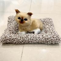 ราคา ตุ๊กตาแมวดับกลิ่น มีเสียงร้อง ตุ๊กตาดับกลิ่น ตุ๊กตาแมวดูดกลิ่น แมวดับกลิ่น หมาดูดกลิ่น ถุงดับกลิ่น ดูดกลิ่นในรถ (19573546480)