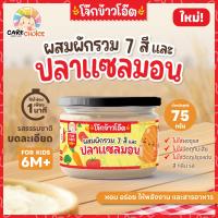 ราคา แคร์ช้อยส์ โจ๊กผสมผัก ธัญพืช และปลา 10 ชนิด โจ๊กสำหรับเด็ก บดละเอียด 9M (22798972254)