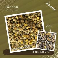 ราคา เก๊กฮวยดอกตูม 100 กรัม เก๊กฮวยป่า เก๊กฮวยราชา นำไปชงน้ำดื่ม (10420635652)