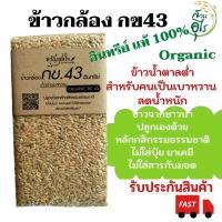 ราคา ข้าวกล้องกข43 อินทรีย์แท้ 100 1กก ข้าวกล้องกข43 ข้าวกข43 Organic ข้าวคุณภาพ ไร้สารเคมี ข้าวกล้อง ข้าวอินทรีย์ ข้าวเพื่อสุขภาพ (11467995438)
