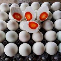 ราคา ไข่เค็มไชยา ใบใหญ่ ขนาดแพ๊ค 10 ฟอง (11772537892)