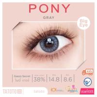 ราคา Pony Gray TATOTO Contact Lenses ของแท้100 มีอย ไทย (16422615708)