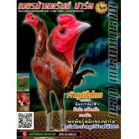 ราคา ไข่ไก่ชนพม่าสายเลือดเงินล้านราคาฟองละ120บาท พิเศษช่วงโปรโมชั่นนี้ ซื้อ3ฟอง แถม1 ซื้อ5แถม2 (20016857586)