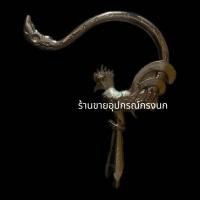 ราคา ตะขอกรงนกหัวจุก สวยสวย (22225522179)