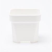 ราคา กล่องเพาะเมล็ด แคคตัส กระบองเพชร cactus succulent (5050742966)
