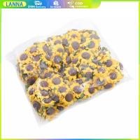 ราคา ดอกทานตะวันกระดาษ ดอกทานตะวันจิ๋ว ดอกไม้ปลอม DIY สำหรับตกแต่งบ้าน 100ชิ้น บริการหลังการขายดี (21511297907)