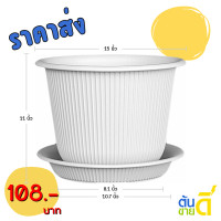 ราคา กระถาง กระถางต้นไม้ มินิมอล ฮีโร่ จาน ขนาด 15 นิ้ว สีดำ สีขาว สีเทา สีอิฐ (22727905557)