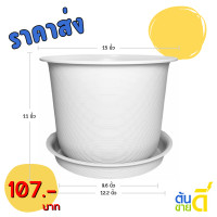 ราคา กระถาง กระถางต้นไม้ มินิมอล จัมโบ้ จาน ขนาด 15 นิ้ว สีดำ สีขาว สีเทา สีอิฐ สีโอ๊ค (22727851982)