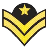 ราคา เครื่องหมายยศทหารอากาศ จ่าอากาศตรี จ่าอากาศโท จ่าอากาศเอก (12978433308)