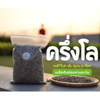 ราคา เมล็ดต้นอ่อนทานตะวัน ไร่จำรัส ถุงละ 1 kg เมล็ดพันธุ์ผัก เมล็ดเพาะงอก ต้นอ่อนทานตะวัน ไร่จำรัส กรีนฟาร์มสุข (21858480733)