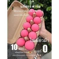 ราคา ไข่เยี่ยวม้า 10ฟอง ปลอดสารพิษ สดใหม่ อร่อยสะอาด ลูกใหญ่พิเศษ (22651983716)