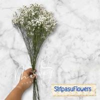 ราคา ช่อดอกไม้แห้ง ช่อดอกสุ่ยสีขาว สุ่ยแห้ง ช่อสุ่ยแห้ง (21753886700)