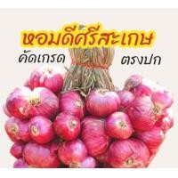 ราคา ส่งฟรี 1กิโล ใหม่หอมแดง ศรีสะเกษแท้ ตรงปก หอมแดงไทย มัดจุก คุณภาพดี เนื้อแน่น หัวสวย (22792340672)