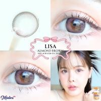 ราคา คอนแทคเลนส์ ขนาดกลาง Brown Gray Almond Lisa Montra (22032181810)