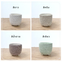 ราคา ออมชมพู ค้าขายร่ำรวย พร้อมกระถางมินิมอล 3 ขา Pink Syngonium ต้นสูง 10 12 cm (17009447595)