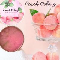 ราคา บลัช คลีนเซอร์ สบู่ ล้างแปรงแต่งหน้า ล้างพัฟ ทำความสะอาด ฟองน้ำ (22268822188)