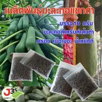 ราคา มะละกอสำหรับตำส้มตำ เมล็ดพันธุ์มะละกอแขกดำ มะละกอกรอบอร่อย มะละกอเนื้อเยอะ เมล็ดมะละกอพันธุ์แขกดำ ผลใหญ่ ผลยาว (20594619723)