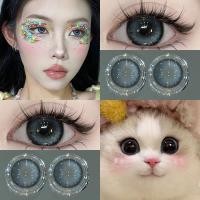 ราคา คอนแทคเลนส์สีขนาดเส้นผ่านศูนย์กลาง 14 2 มม ต่อปีคอนแทคเลนส์รายเดือนคอนแทคเลนส์ คอนแทคเลนส์ Thai Tea Grey Black กรองแสงขนาดมินิ 1คู่ 14 5mm (21992263196)