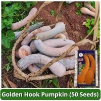ราคา เมล็ดพันธุ์ ฟักทอง บรรจุ 50 เมล็ด Golden Hook Pumpkin Seed Vegetable Seeds for Planting เมล็ดฟักทอง F1 เมล็ดพันธุ์ผัก ผักสวนครัว ผักออร์แกนิก พันธุ์ผัก เม็ดผักสวนครัว เมล็ดผัก เมล็ดพันธุ์พืช ปลูกผัก ป