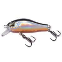 ราคา Magnet Floating Minnow Bait 40mm 2 2g Fishing Lures Trout Crankbaits Long Castiing Fishing Lures Catfish CarpBait Lures (22624210213)