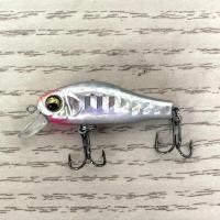 ราคา Magnet Floating Minnow Bait 40mm 2 2g Fishing Lures Trout Crankbaits Long Castiing Fishing Lures Catfish CarpBait Lures (22624210215)