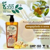 ราคา ชีววิถี แชมพู ครีมนวด สมุนไพรขิง มะหาด 300 มล (22305148996)