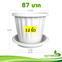 ราคา กระถาง กระถางต้นไม้ มินิมอล โรมัน จาน ขนาด 12 นิ้ว สีดำ สีขาว สีเทา สีอิฐ (22686750443)